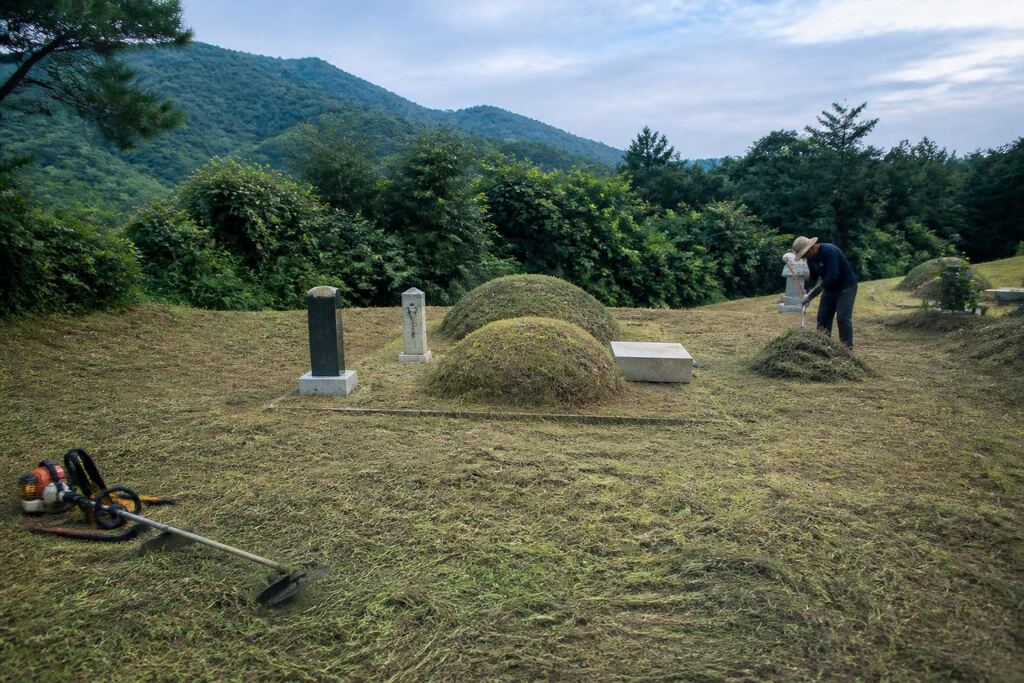 서울 중랑구 벌초 비용과 업체 비교 정보 이미지