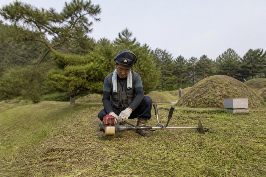 서울 마포구 벌초 이미지