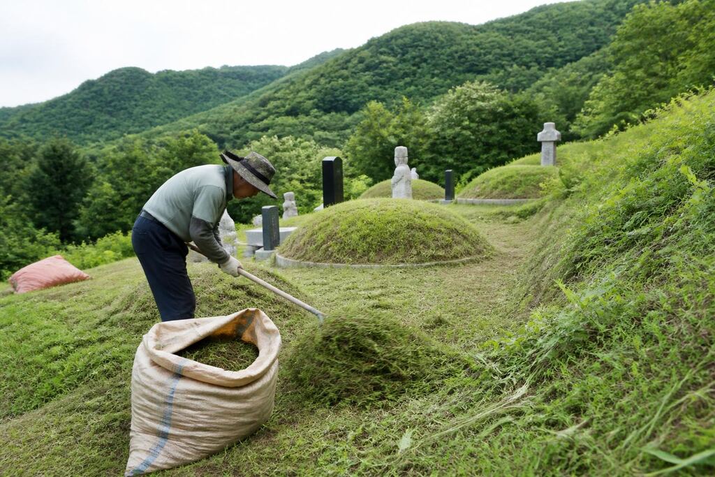 서울 양천구 벌초 비용과 업체 비교 정보 이미지