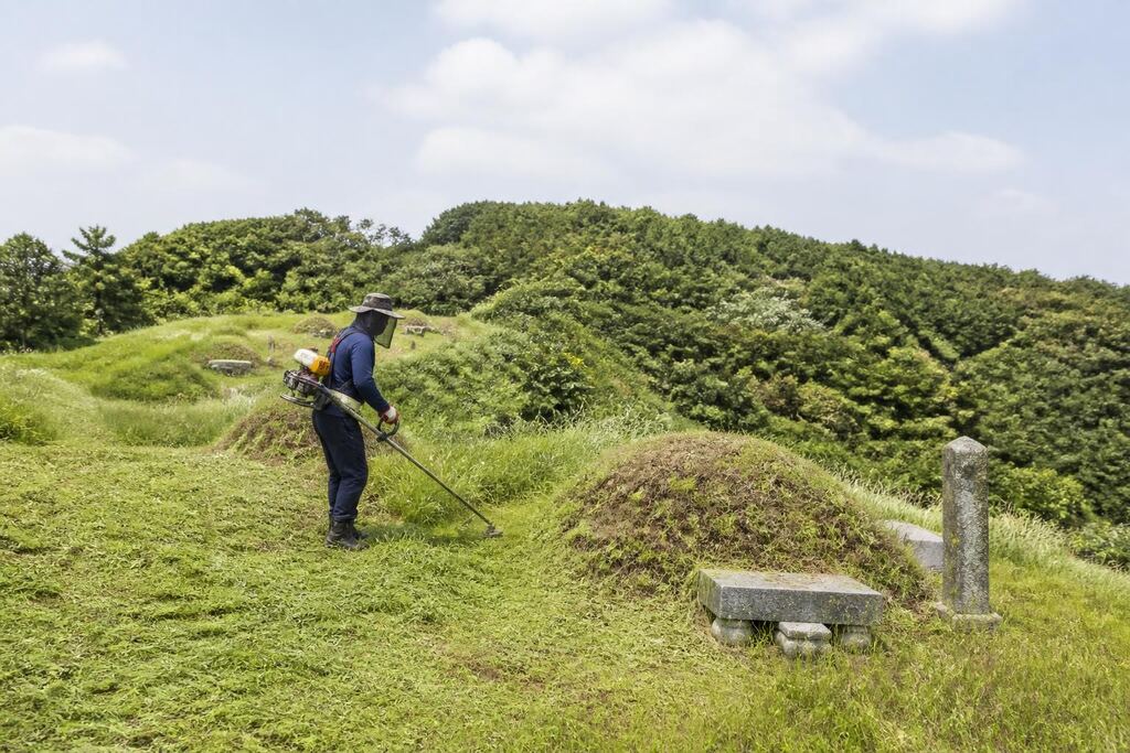 서울 구로구 벌초 이미지