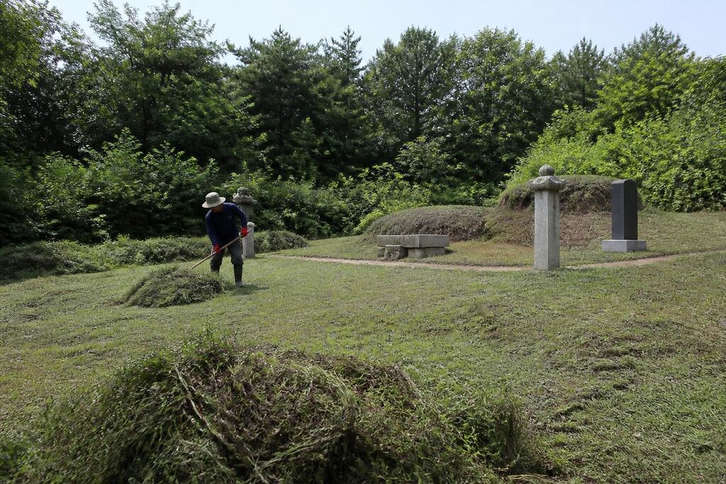 서울 구로구 벌초 비용과 업체 비교 정보 이미지