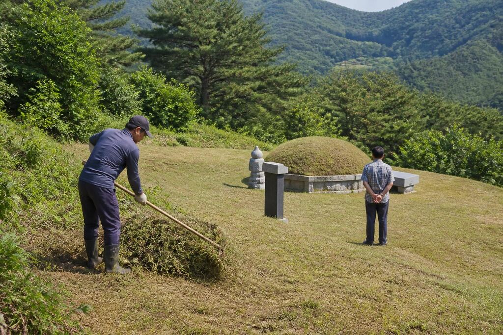 서울 영등포구 벌초 비용과 업체 비교 정보 이미지