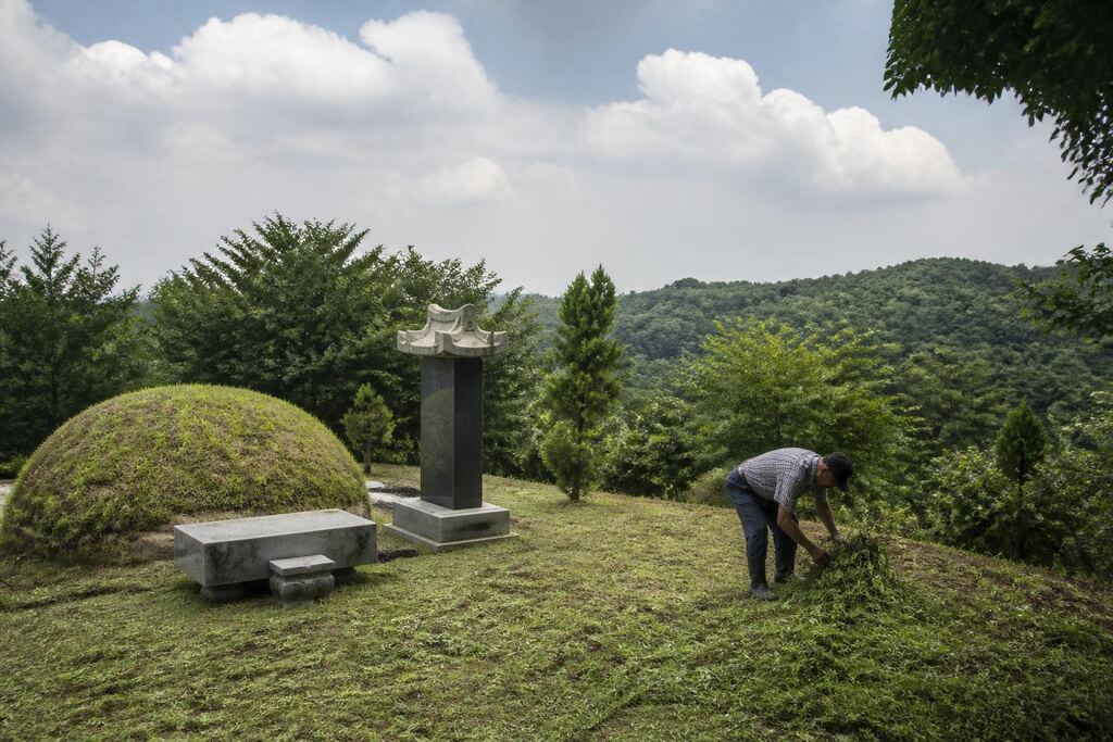 서울 동작구 벌초 비용과 업체 비교 정보 이미지