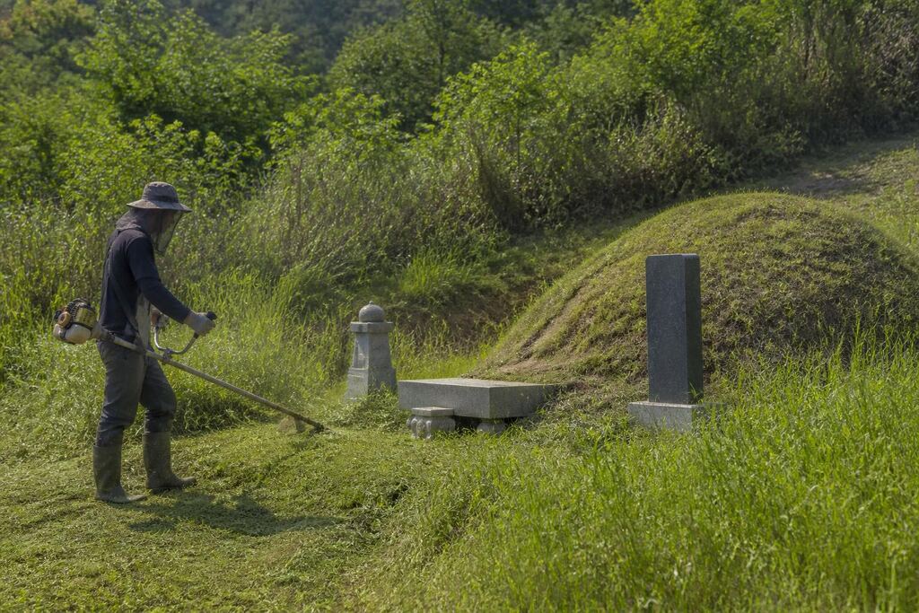 서울 관악구 벌초 작업 범위와 현장 조건 이미지
