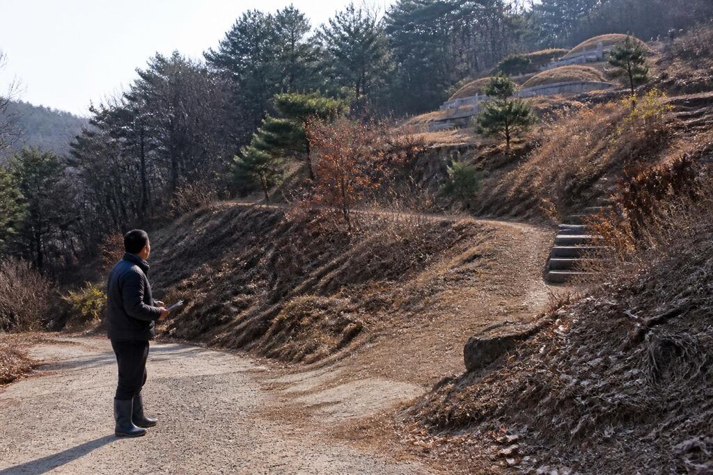 서울 은평구 묘지이장 작업 범위와 현장 조건 이미지