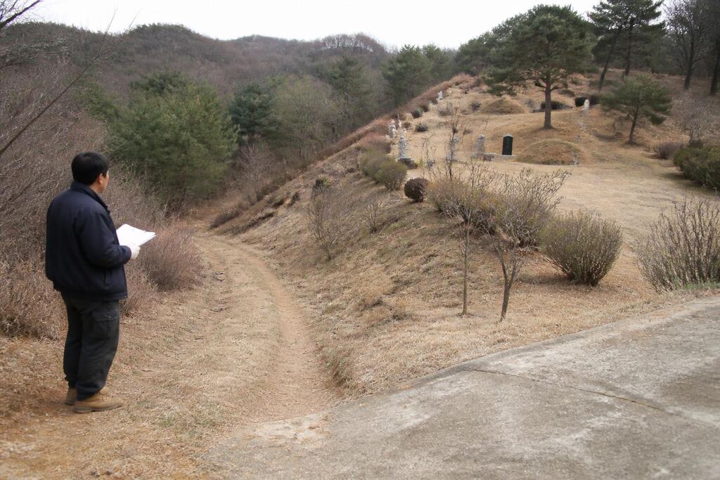 서울 서대문구 묘지이장 작업 범위와 현장 조건 이미지
