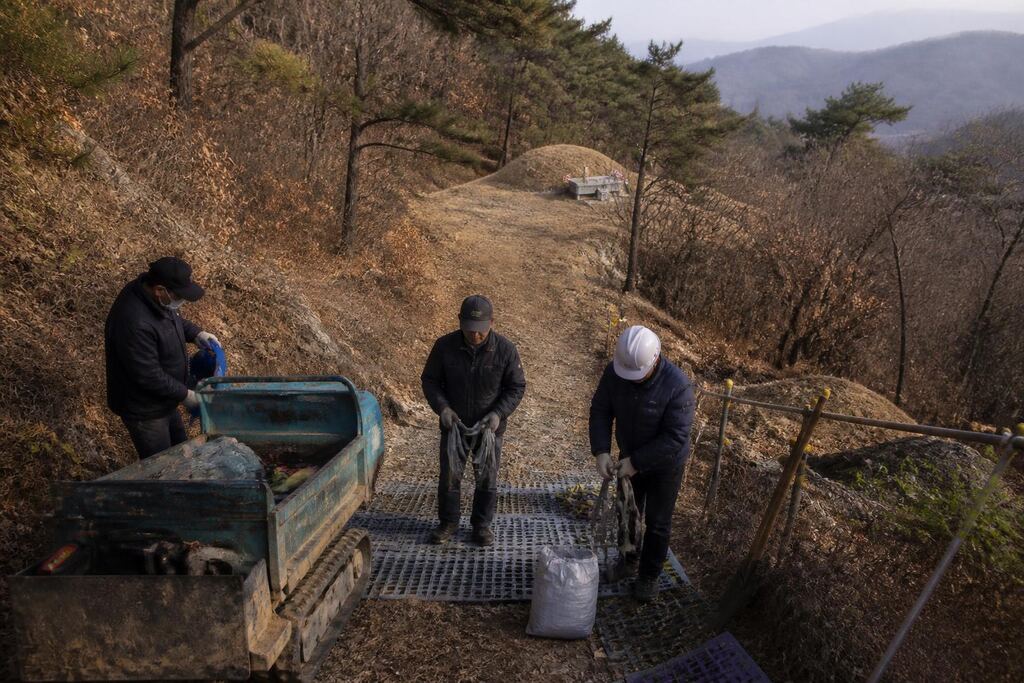 서울 마포구 묘지이장 비용과 업체 비교 정보 이미지