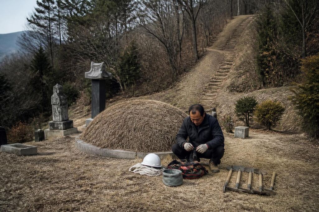 서울 금천구 묘지이장 작업 범위와 현장 조건 이미지