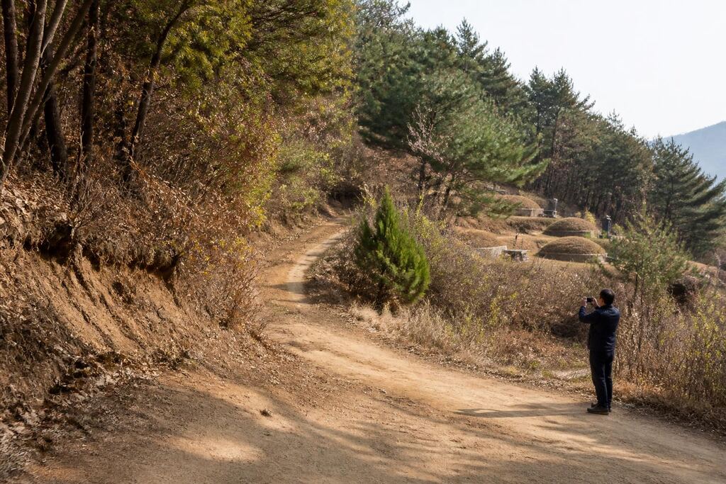 서울 동작구 묘지이장 작업 범위와 현장 조건 이미지