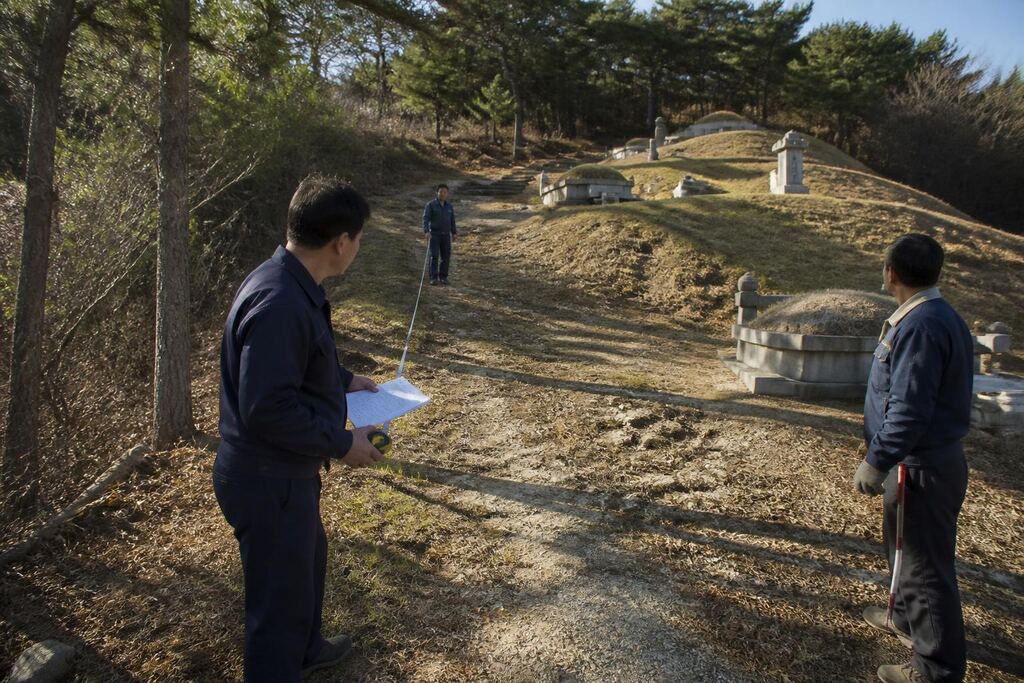 서울 송파구 묘지이장 작업 범위와 현장 조건 이미지