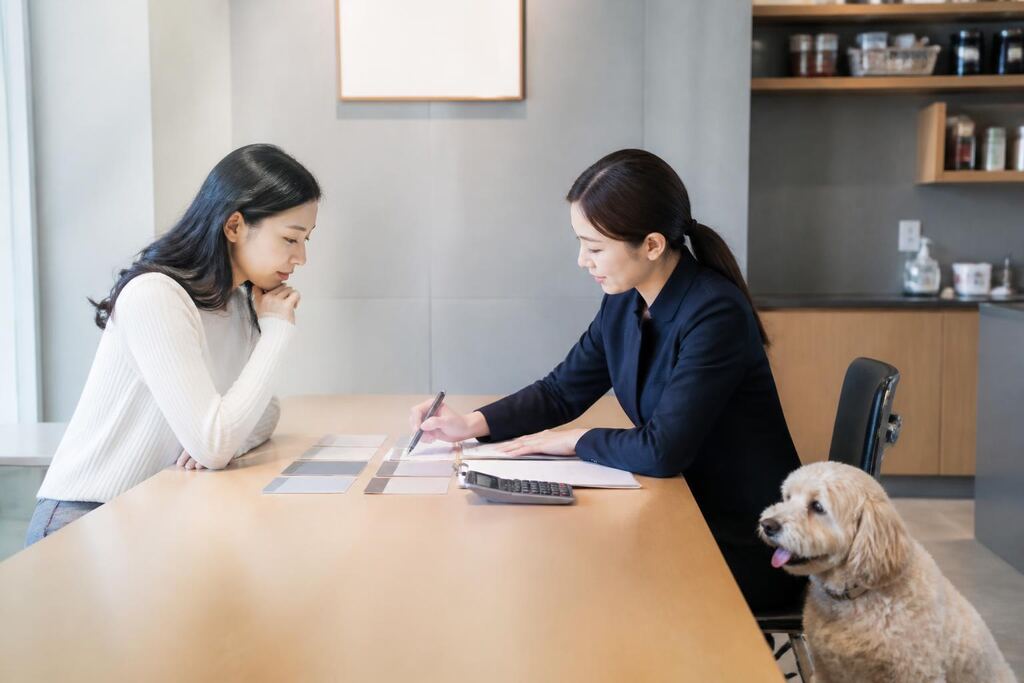 서울 강서구 펫보험 비용과 업체 비교 정보 이미지