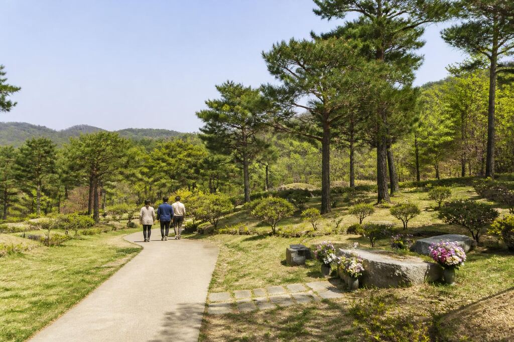 서울 영등포구 자연장 비용과 업체 비교 정보 이미지