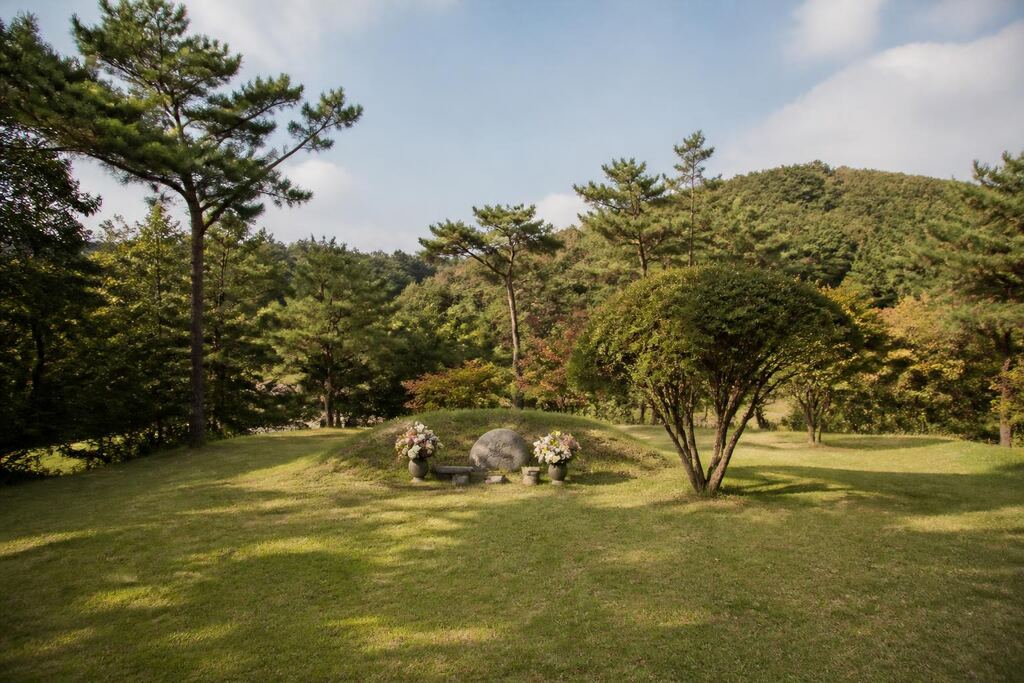 서울 강남구 자연장 이미지