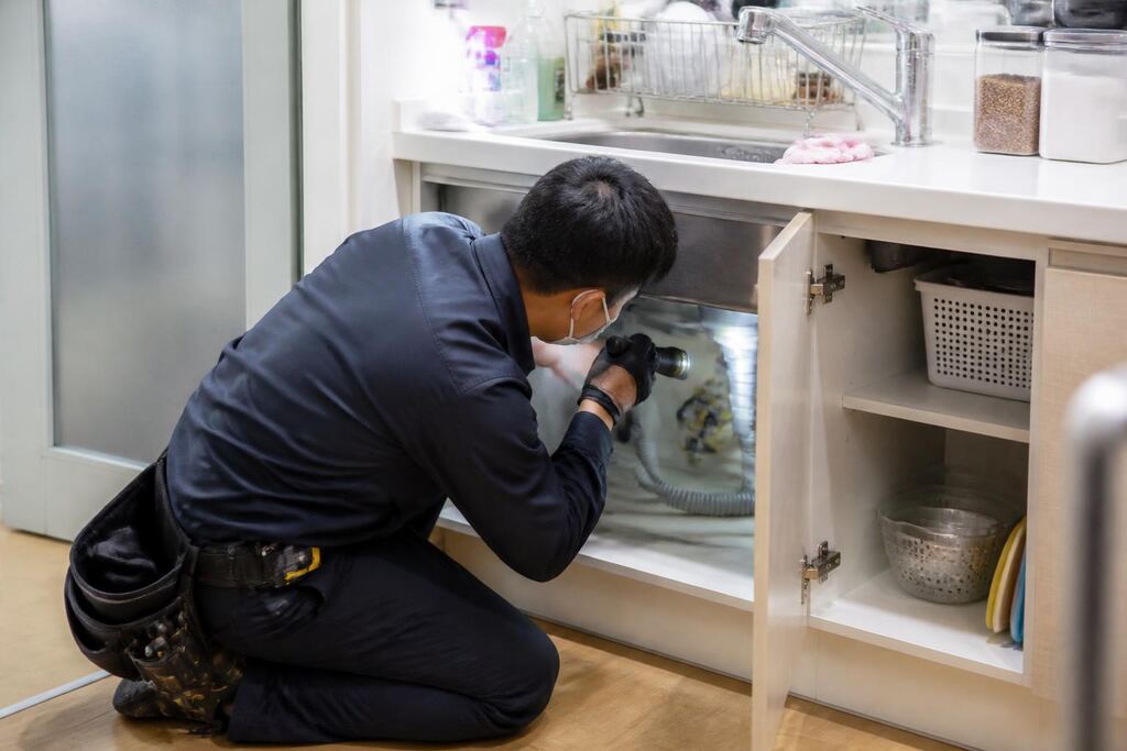 서울 성북구 바퀴벌레 방제 작업 범위와 현장 조건 이미지