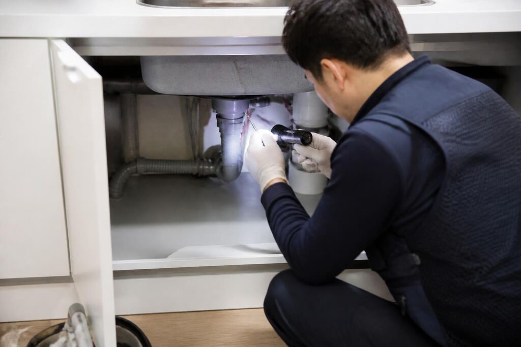 서울 서대문구 가정집 방역 작업 범위와 현장 조건 이미지