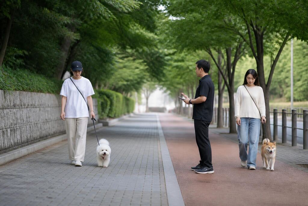 서울 중구 기본 훈련 비용과 업체 비교 정보 이미지