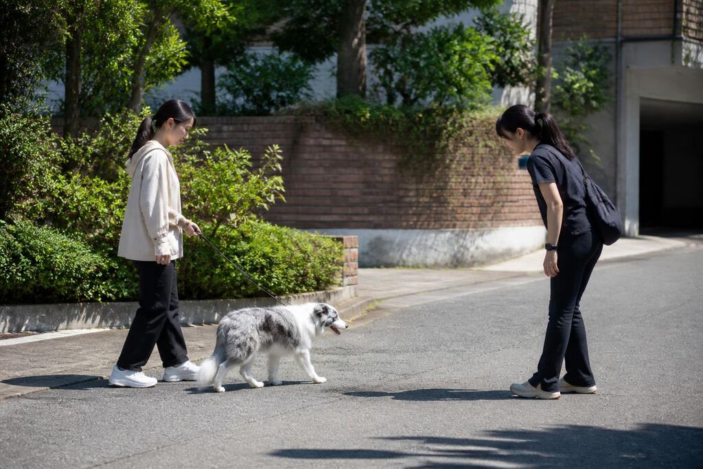 서울 광진구 기본 훈련 작업 범위와 현장 조건 이미지