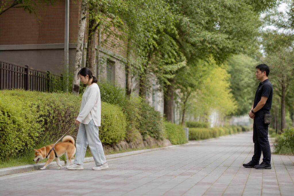 서울 관악구 기본 훈련 비용과 업체 비교 정보 이미지