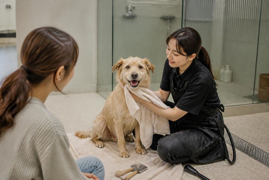 서울 중구 목욕·위생관리 이미지