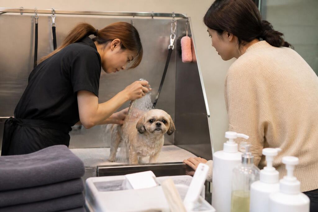서울 노원구 목욕·위생관리 작업 범위와 현장 조건 이미지