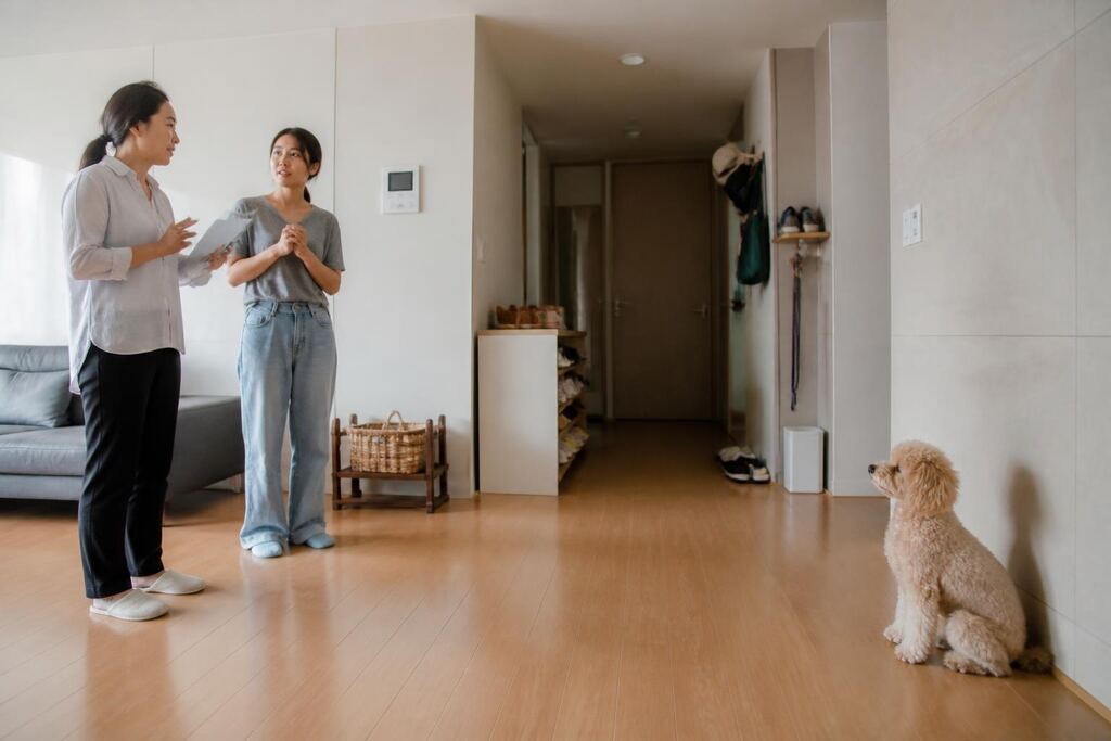 서울 용산구 행동교정 작업 범위와 현장 조건 이미지