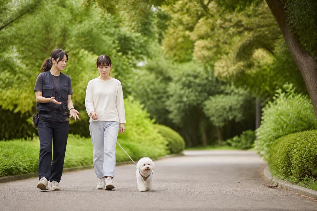 서울 강북구 행동교정 비용과 업체 비교 정보 이미지
