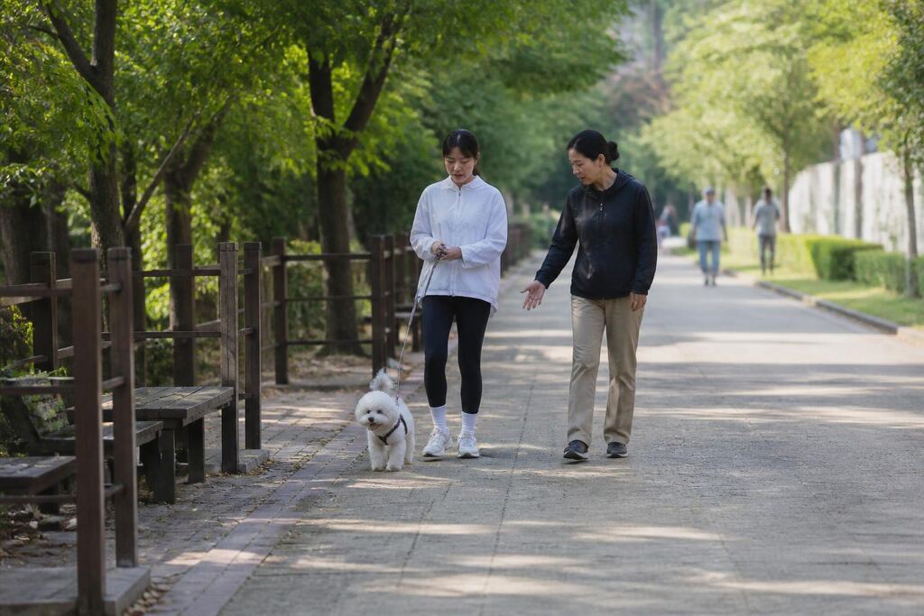 서울 강남구 행동교정 작업 범위와 현장 조건 이미지