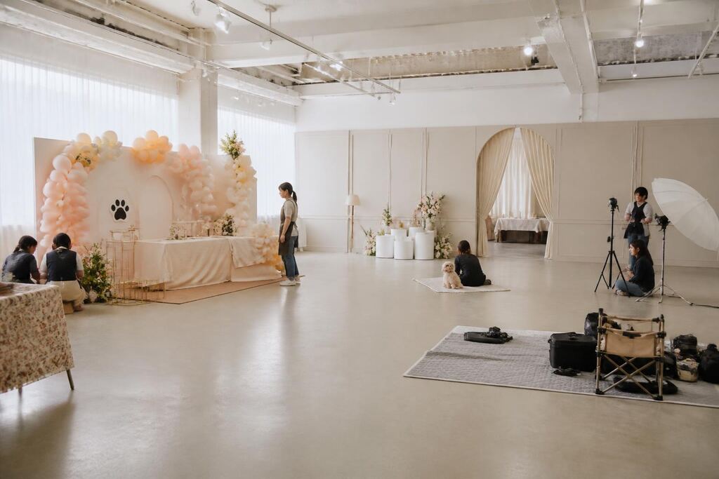 서울 성동구 반려동물 행사·파티 비용과 업체 비교 정보 이미지
