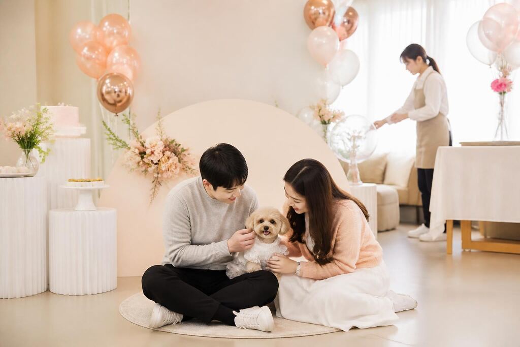 서울 광진구 반려동물 행사·파티 이미지