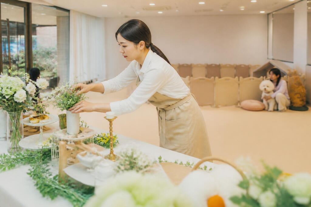 서울 성북구 반려동물 행사·파티 작업 범위와 현장 조건 이미지