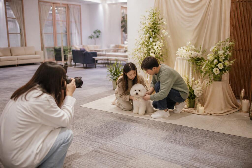 서울 은평구 반려동물 행사·파티 비용과 업체 비교 정보 이미지