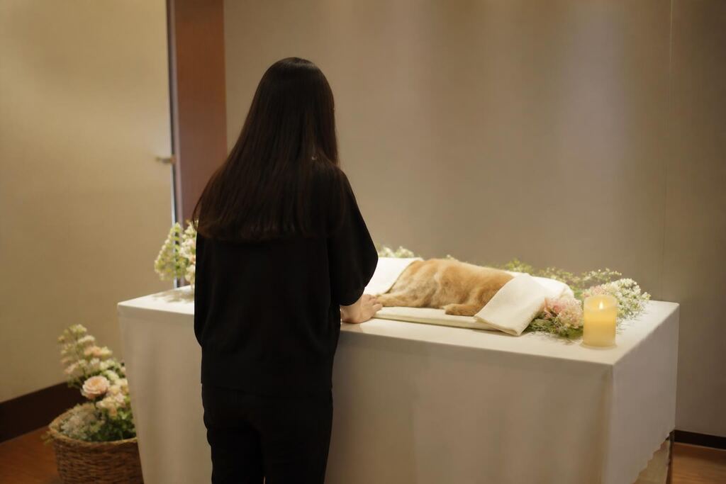 서울 구로구 반려동물 장례 비용과 업체 비교 정보 이미지
