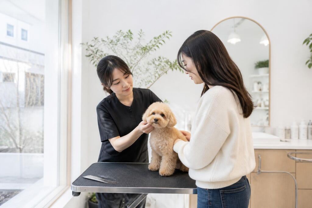 서울 성북구 반려동물 미용 이미지