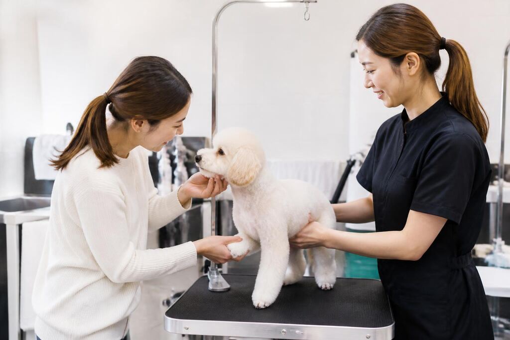 서울 강북구 반려동물 미용 비용과 업체 비교 정보 이미지