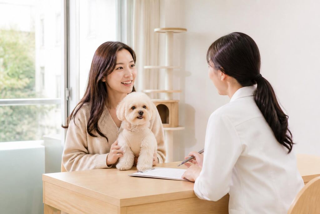 서울 용산구 반려동물 호텔 이미지