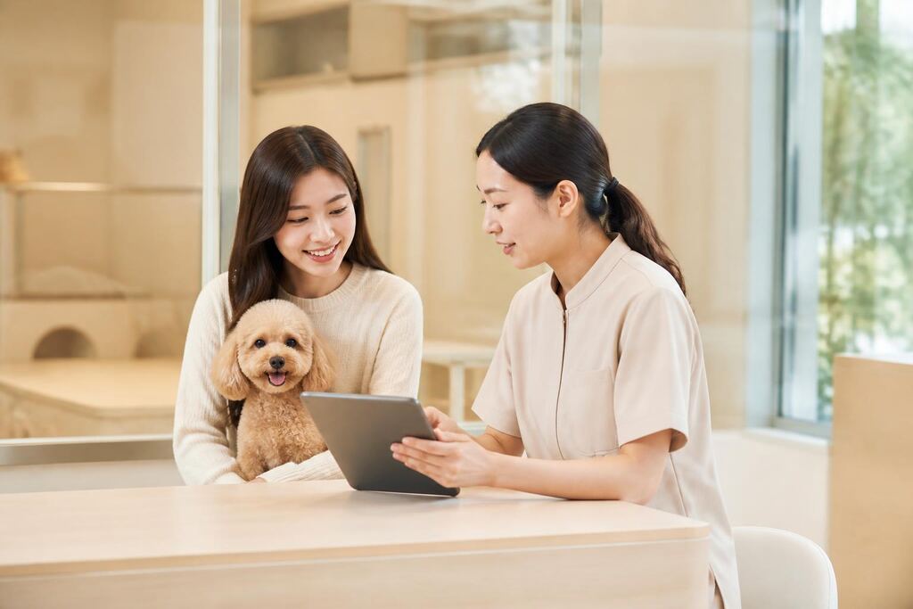 서울 노원구 반려동물 호텔 이미지
