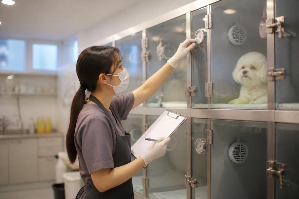 서울 금천구 기타 반려동물 서비스 작업 범위와 현장 조건 이미지