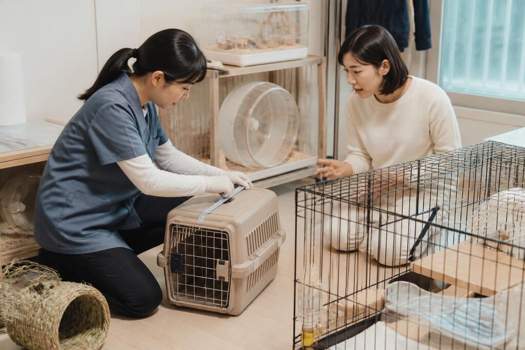 서울 송파구 기타 반려동물 서비스 작업 범위와 현장 조건 이미지