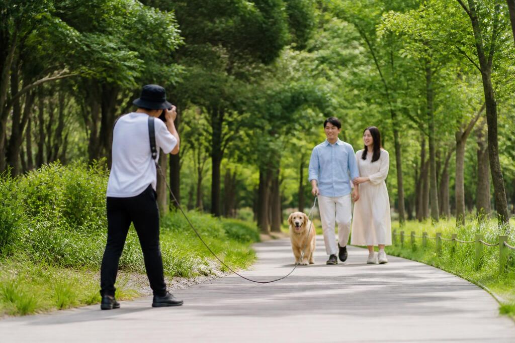 서울 용산구 반려동물 촬영 작업 범위와 현장 조건 이미지