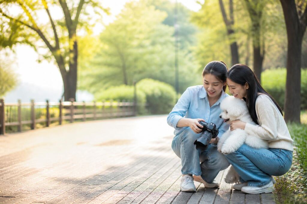 서울 중랑구 반려동물 촬영 비용과 업체 비교 정보 이미지