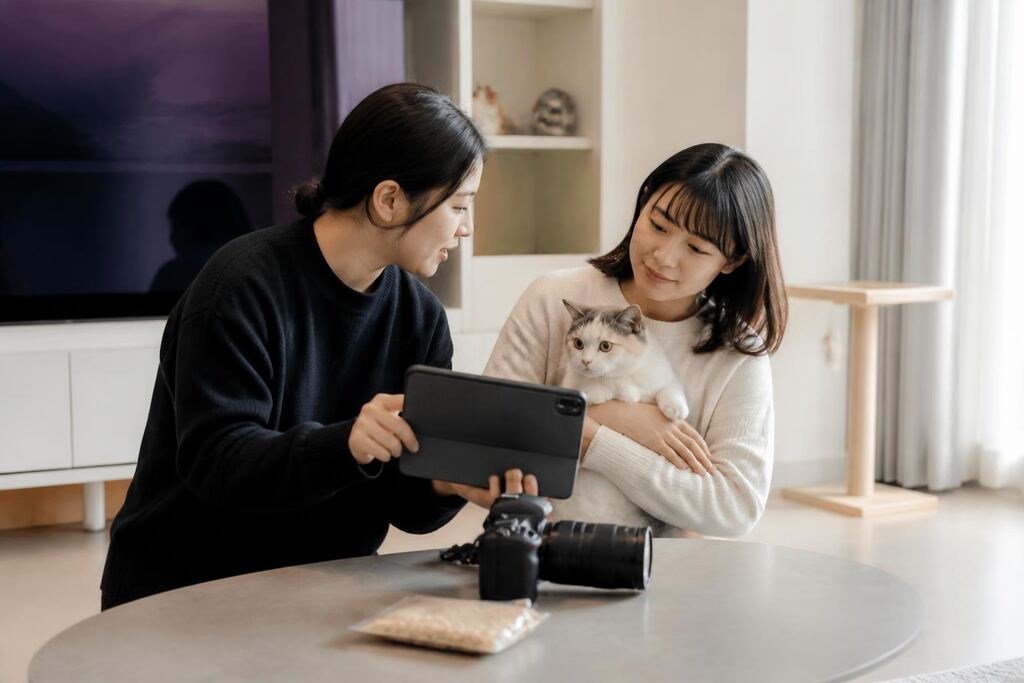 서울 성북구 반려동물 촬영 작업 범위와 현장 조건 이미지