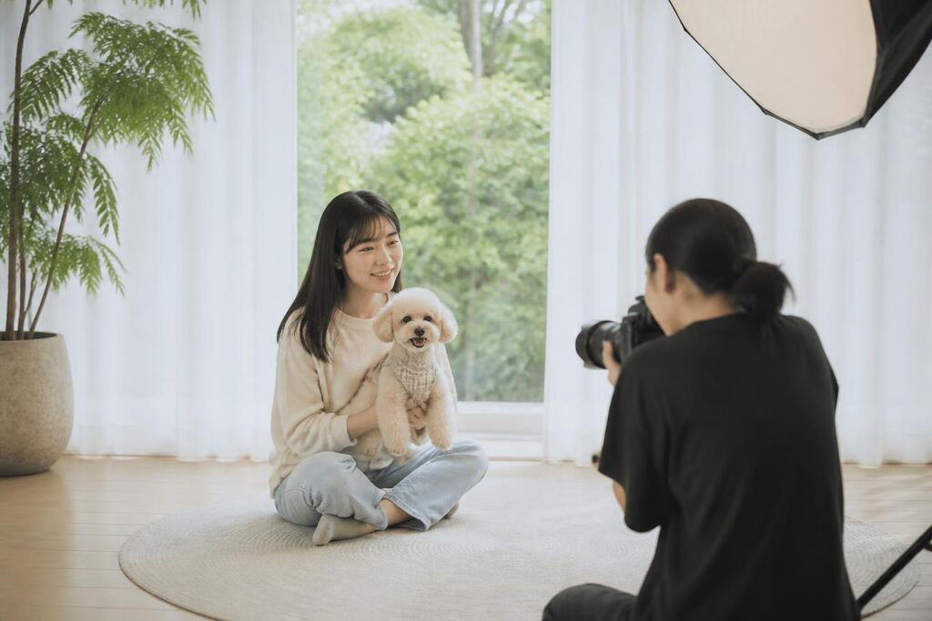 서울 강북구 반려동물 촬영 이미지