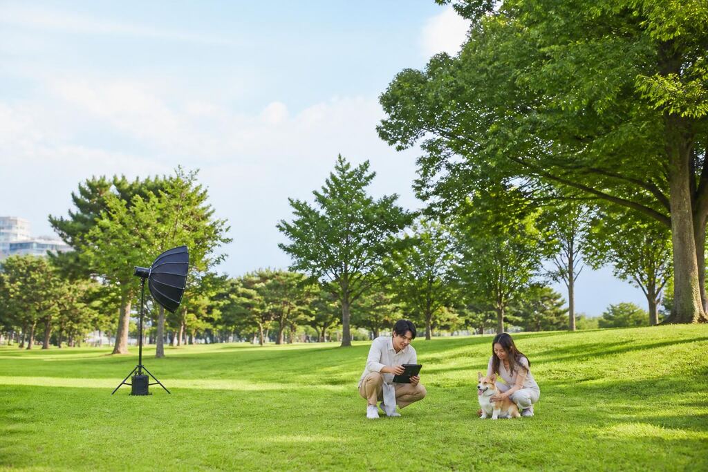 서울 마포구 반려동물 촬영 비용과 업체 비교 정보 이미지