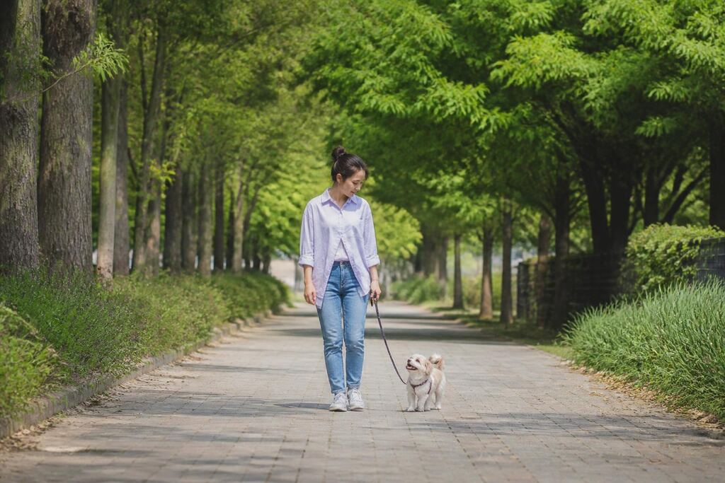 서울 구로구 방문 펫시팅 비용과 업체 비교 정보 이미지