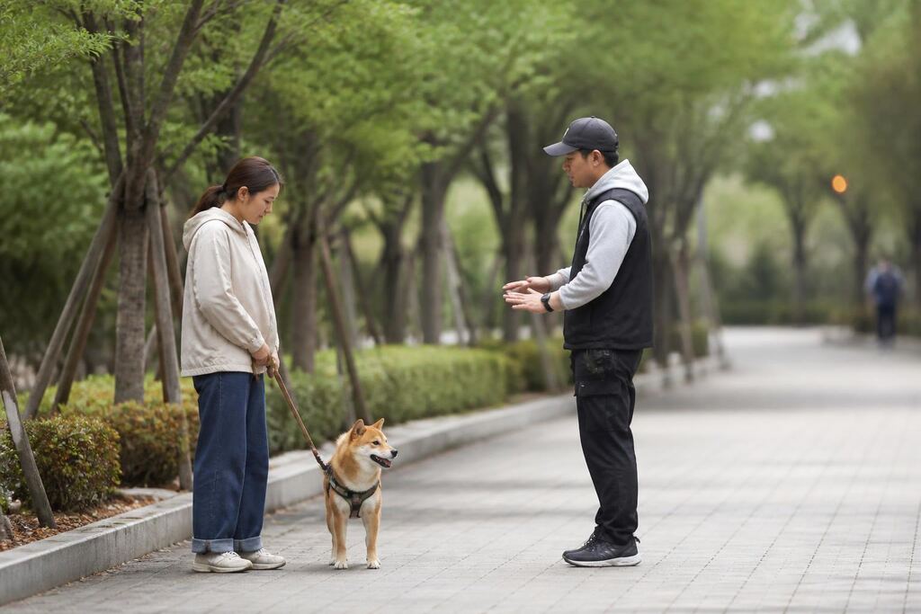 서울 금천구 방문 훈련 비용과 업체 비교 정보 이미지