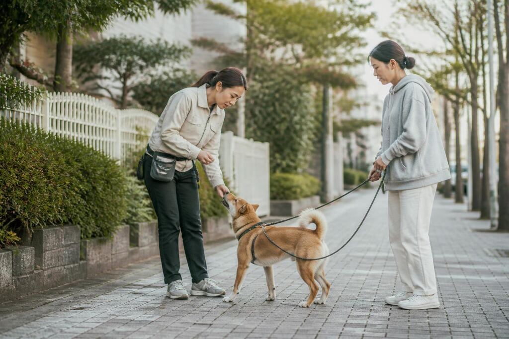 서울 영등포구 방문 훈련 비용과 업체 비교 정보 이미지
