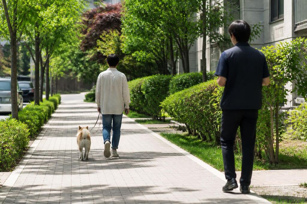 서울 서초구 방문 훈련 비용과 업체 비교 정보 이미지