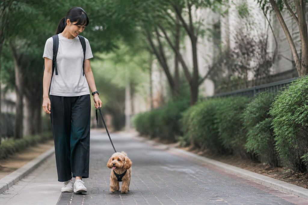 서울 강서구 산책·돌봄 작업 범위와 현장 조건 이미지