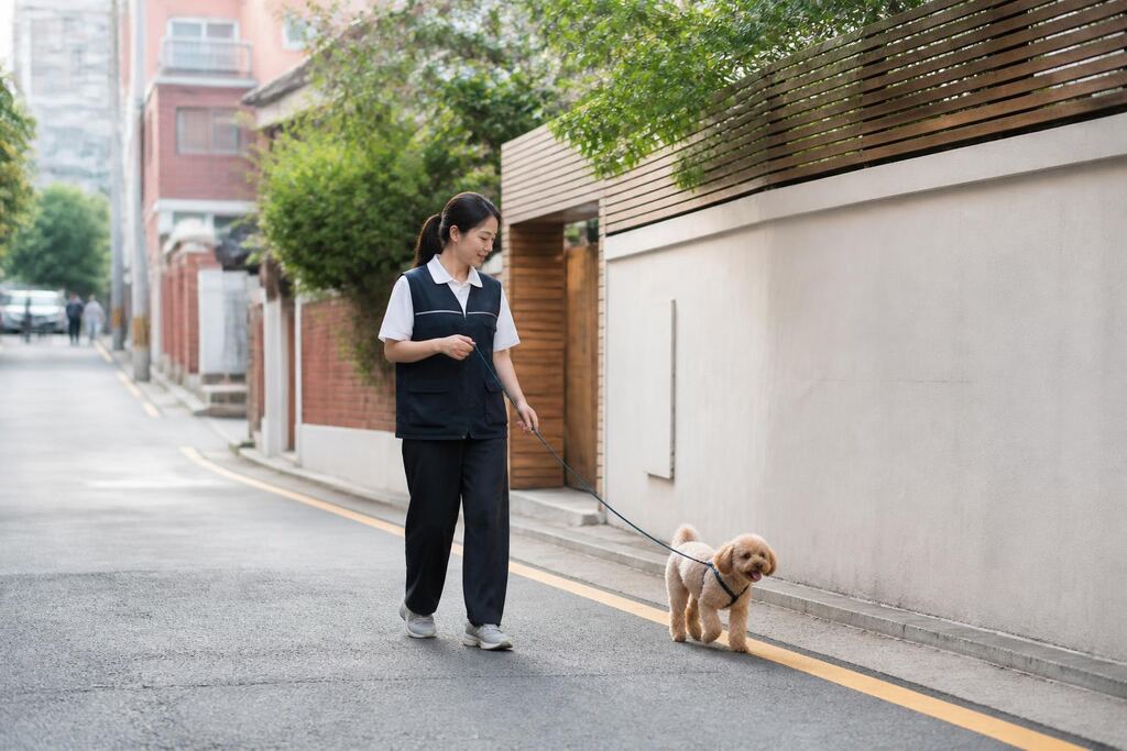서울 영등포구 산책·돌봄 작업 범위와 현장 조건 이미지