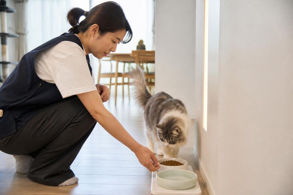 서울 서초구 산책·돌봄 작업 범위와 현장 조건 이미지
